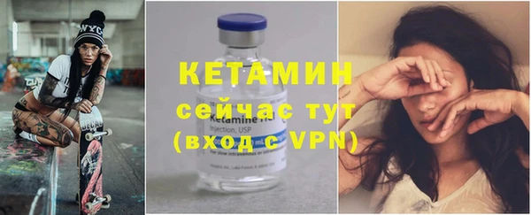 индика Гусев