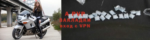 spice Усинск