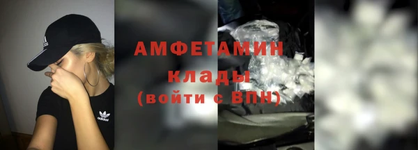шишки Нея
