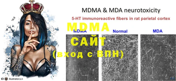 шишки Нея